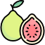 guava icon from Freepik - Flaticon