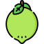 lime icon from Freepik - Flaticon