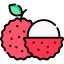 litchi icon from Freepik - Flaticon