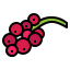 ribes-rosso icon from Freepik - Flaticon